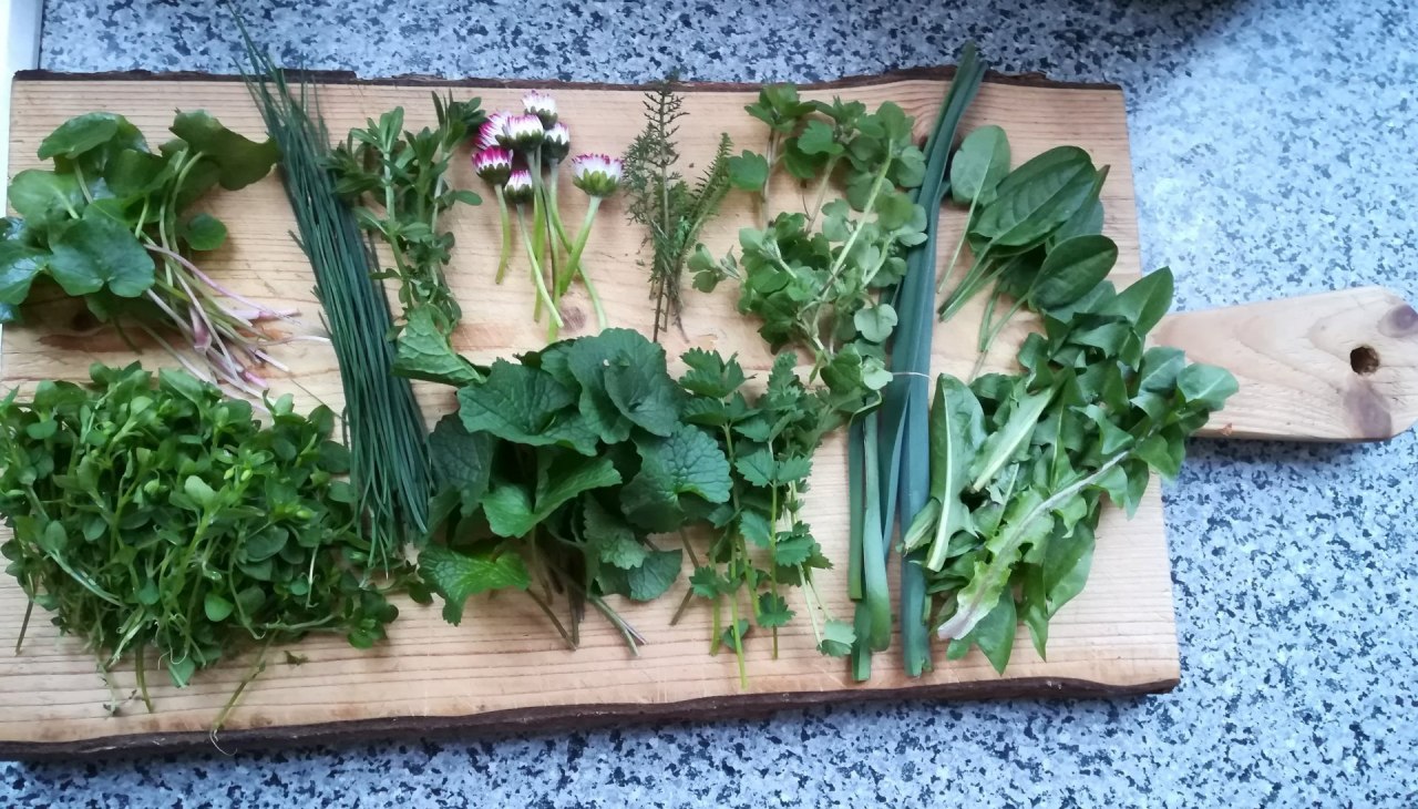 Leckere Ausbeute der Wildkr&auml;uterwanderung, &copy; Britta Daedelow-Seydl