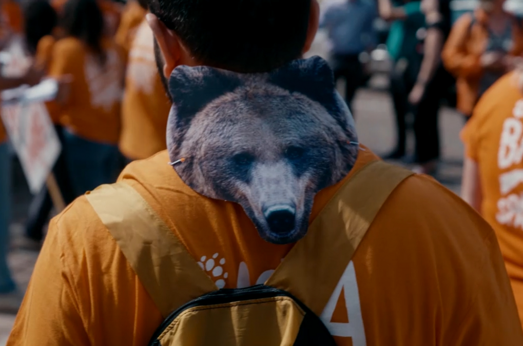 gefährlich-nah_VD, © Deutsche Naturfilmstiftung gefährlich-nah_VD, © Deutsche Naturfilmstiftung