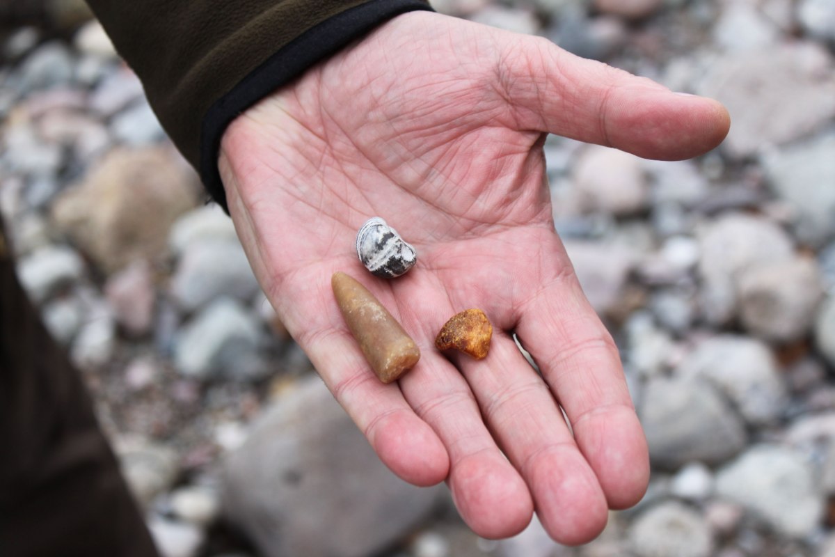 &copy; Biosph&auml;renreservat S&uuml;dost-R&uuml;gen
