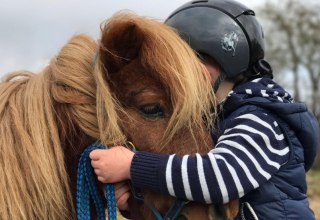 Er is ook een pony voor de kleintjes om te knuffelen // &copy; Reitanlage Rodenberg