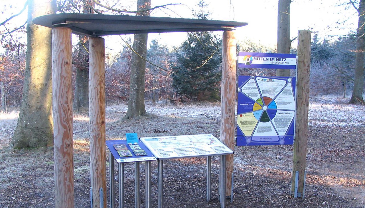 Entdecken, Forschen und Spielen in der Rostocker Heide, © Stadtforstamt Rostock/P. Kuhr Entdecken, Forschen und Spielen in der Rostocker Heide, © Stadtforstamt Rostock/P. Kuhr