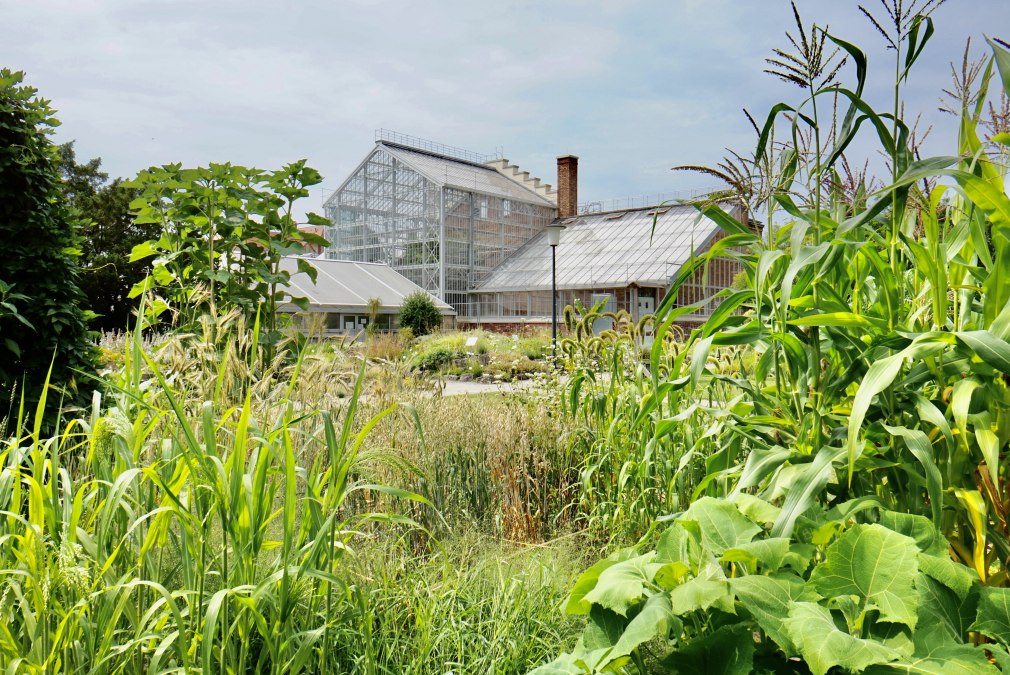 Botanischer Garten, © Gudrun Koch