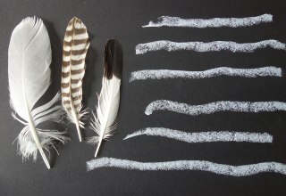 © Kristine von Soden © Kristine von Soden