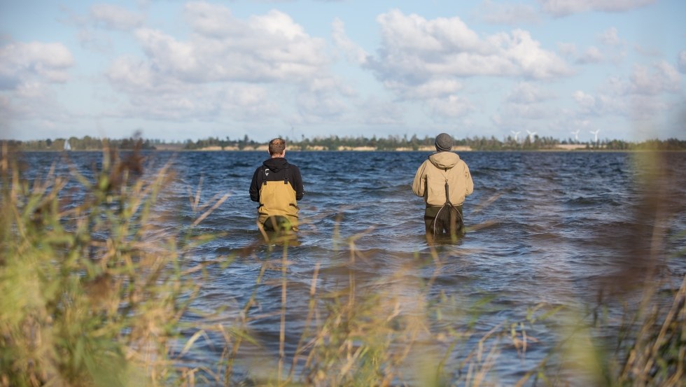 Gute Hecht-Hotspots erreicht man mit Wathose zum Beispiel im Großen Jasmunder Bodden, im Bereich der Wittower Fähre, im Kubitzer Bodden südlich von Barhöft oder im Greifswalder Bodden bei Tremt // © MV-T/Läufer Gute Hecht-Hotspots erreicht man mit Wathose zum Beispiel im Großen Jasmunder Bodden, im Bereich der Wittower Fähre, im Kubitzer Bodden südlich von Barhöft oder im Greifswalder Bodden bei Tremt // © MV-T/Läufer