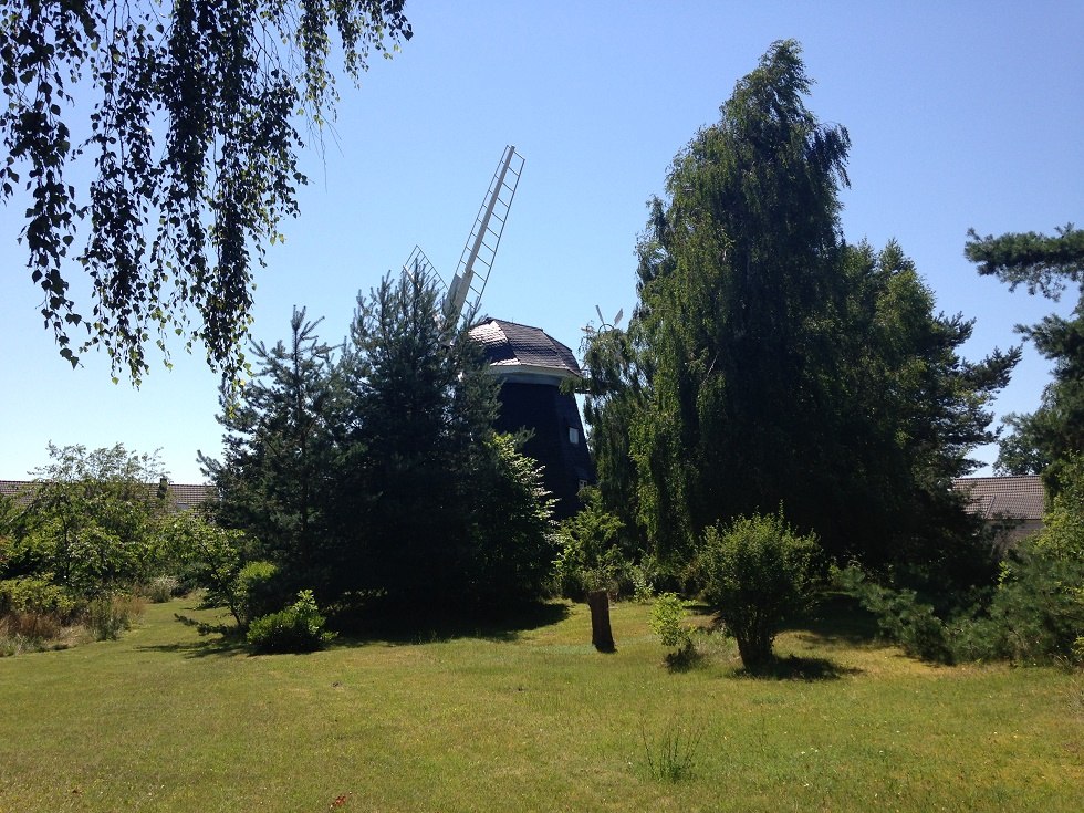 die idyllisch gelegene Erdholländerwindmühle Trassenheide // © Sabrina Wittkopf-Schade die idyllisch gelegene Erdholländerwindmühle Trassenheide // © Sabrina Wittkopf-Schade