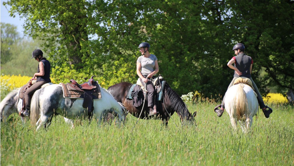 Gezellige rit naar de koolzaadbloesem, &copy; ART.Quartier/Anne Hille