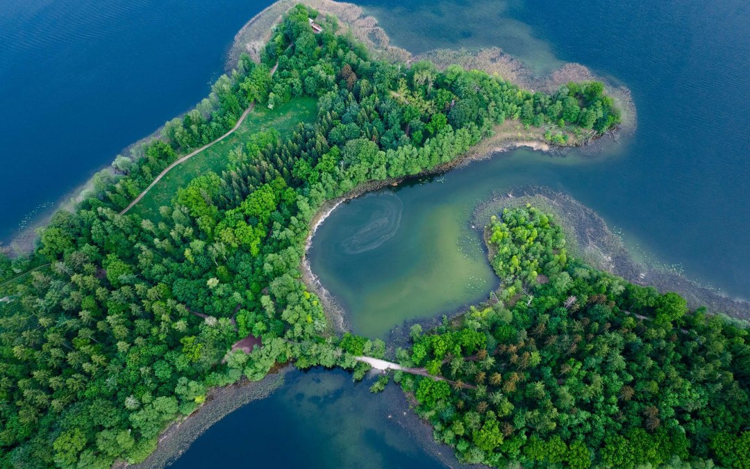 De vormen van de natuur // &copy; TMV/G&auml;nsicke