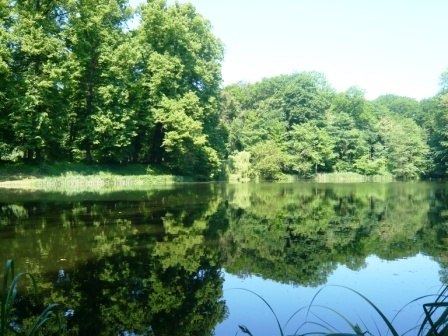 Blick auf den See von der Seeterrasse // &copy; A. Brands