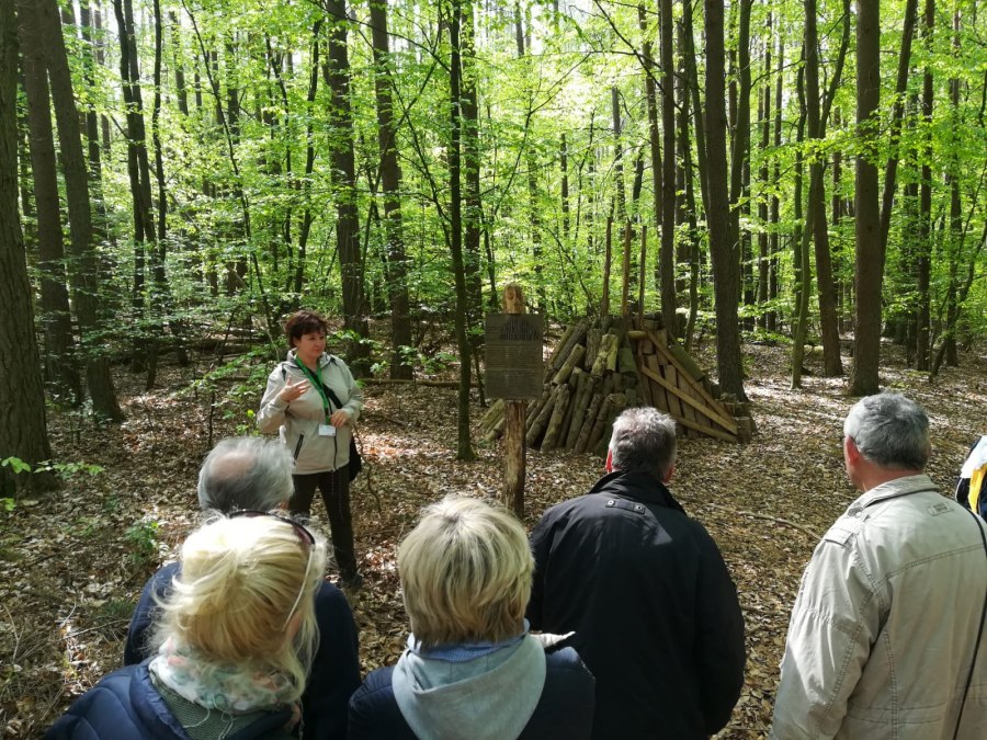 Wanderungen unter liebstoeckel.info, © B. Daedelow Wanderungen unter liebstoeckel.info, © B. Daedelow
