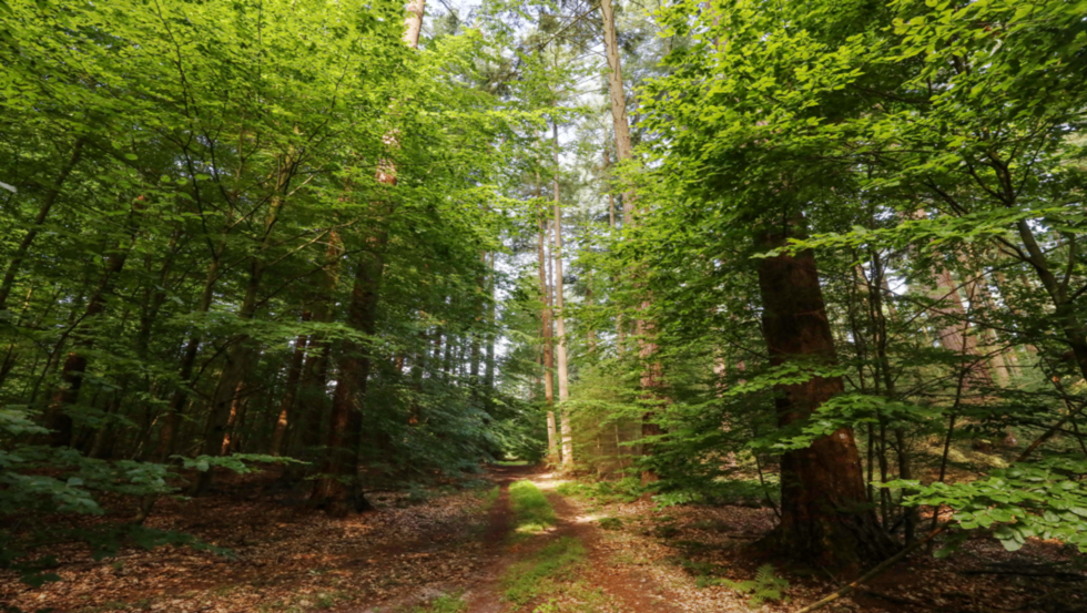 &copy; MV-T/Gohlke