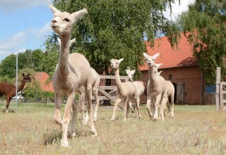 &copy; Tourismusverband Mecklenburg-Schwerin