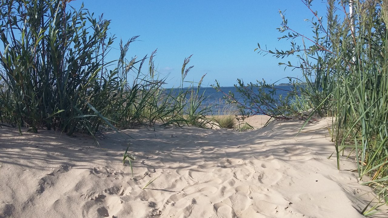 Strand in Freest // &copy; Michael Heck