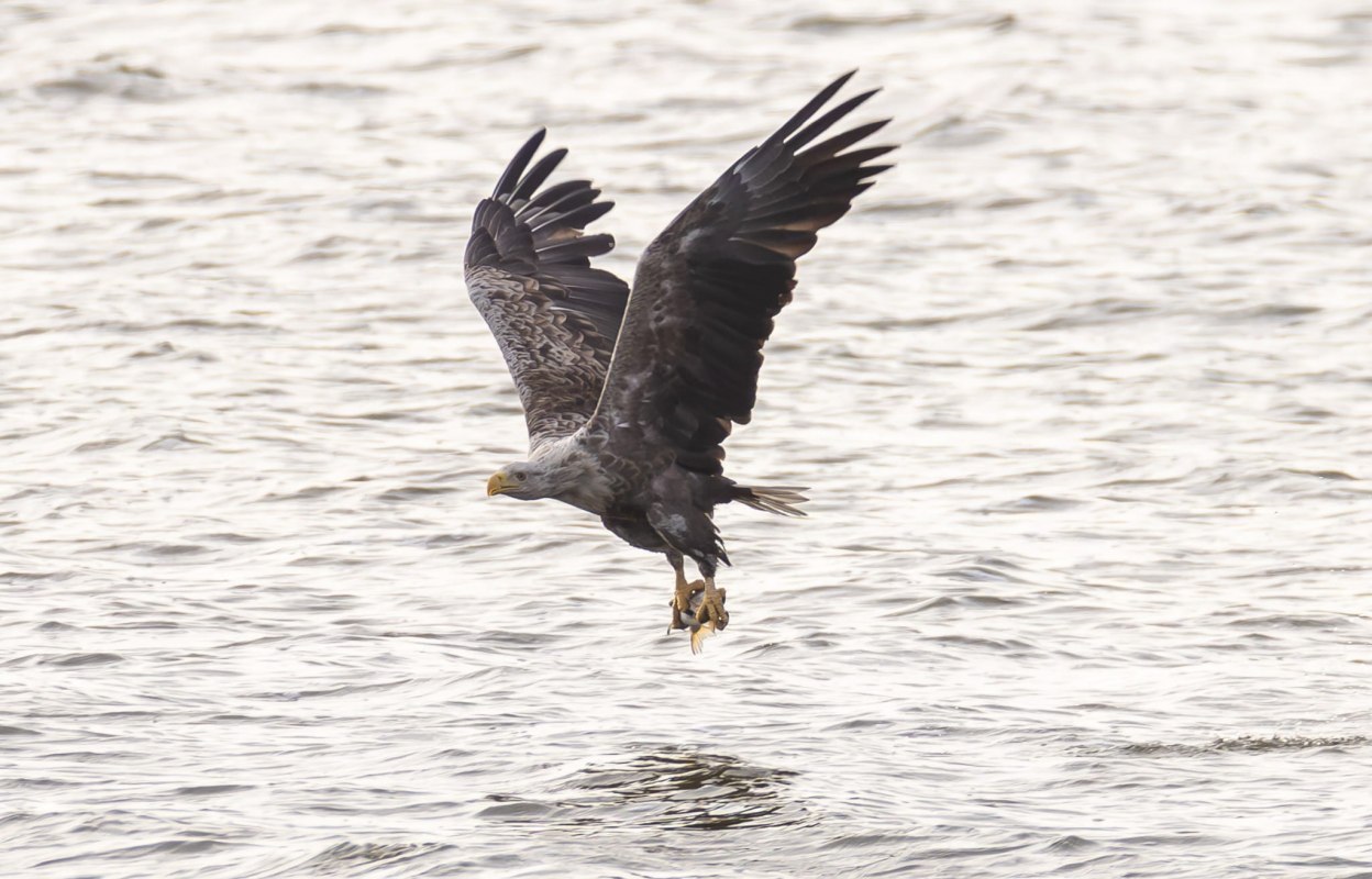 &copy; Mario M&uuml;ller