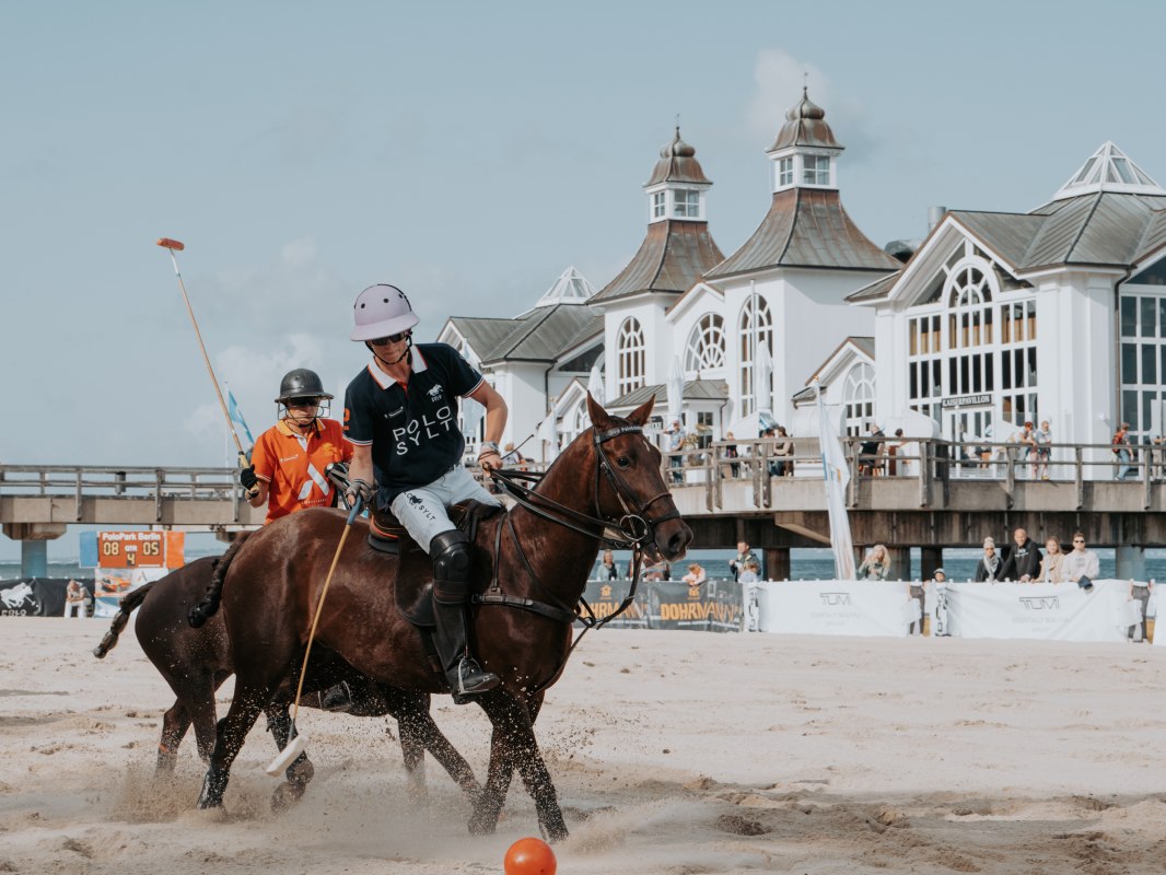 &copy; Burwitz Pocha