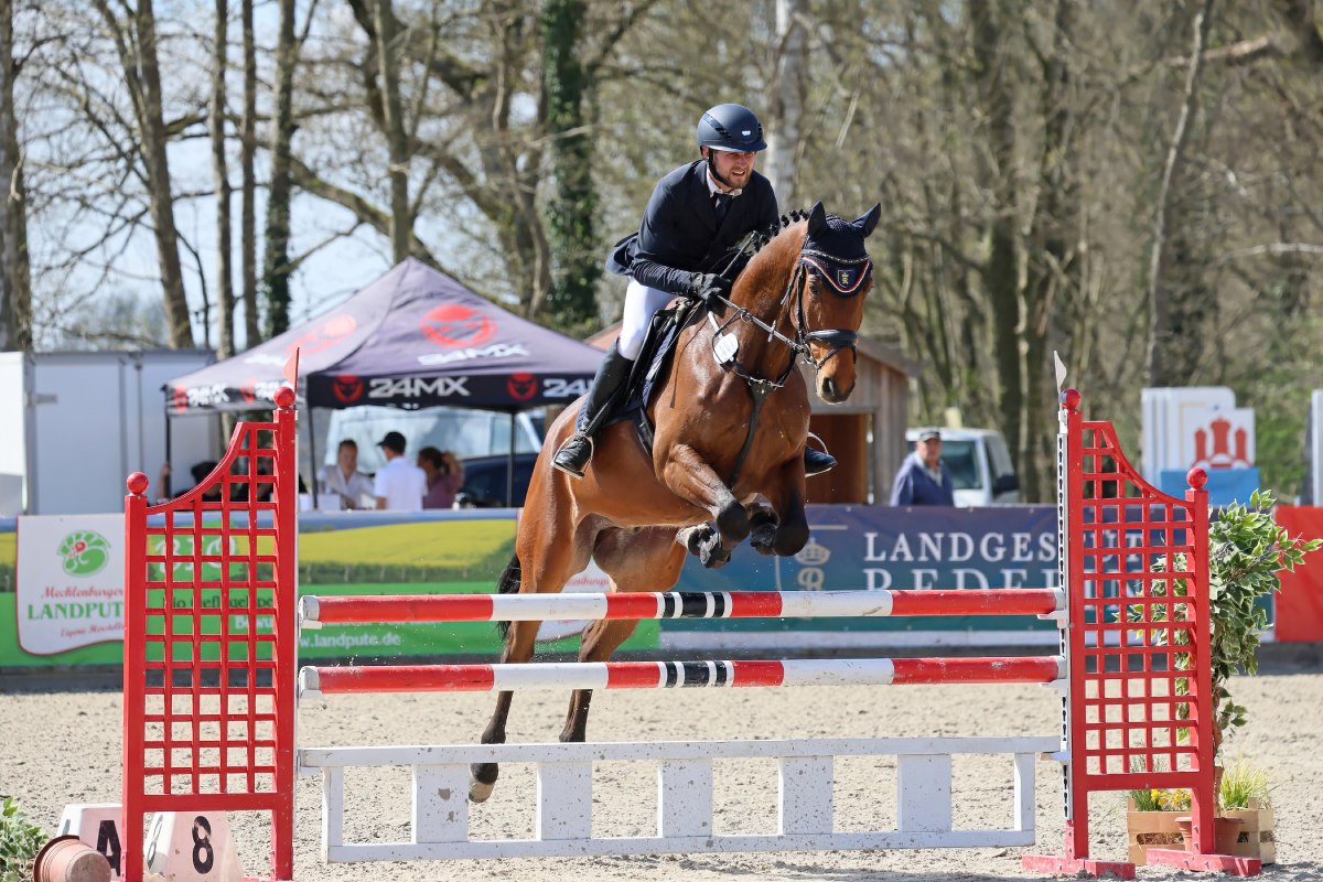 &copy; Chrissis Pferdebilder