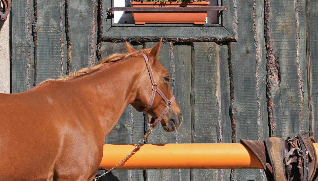 Framika-Ranch, &copy; Dirk Sandner