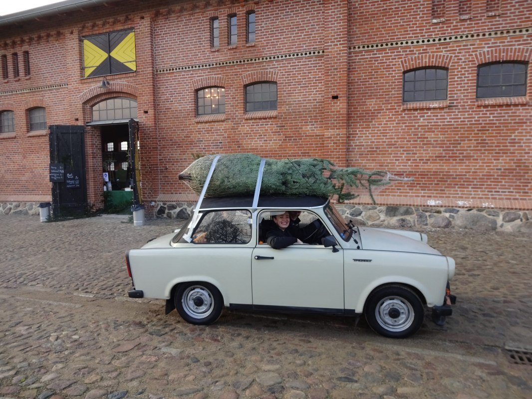 F&uuml;r jeden die richtige Weihnachtsbaumgr&ouml;&szlig;e. // &copy; Christian Schierning