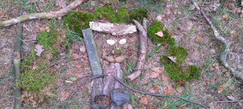 Kreatives Waldbild // &copy; Sabine G&ouml;rmar