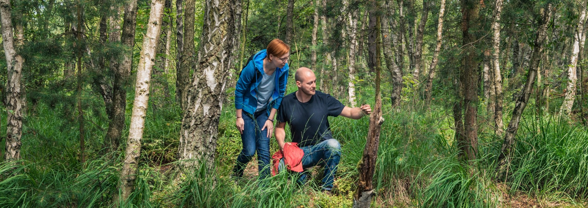 Ein Mann und eine Frau stehen am Ufer eines kleinen Gewässers im Ribnitzer Großen Moor, umgeben von dichten Birken und sattem Grün. Sie betrachten die Pflanzenwelt und die naturbelassene Landschaft. // Entdeckertour im Ribnitzer Großen Moor – zwei Wanderer genießen die beeindruckende Natur des Hochmoors und erkunden die Umgebung. // © MV-T/Süß Ein Mann und eine Frau stehen am Ufer eines kleinen Gewässers im Ribnitzer Großen Moor, umgeben von dichten Birken und sattem Grün. Sie betrachten die Pflanzenwelt und die naturbelassene Landschaft.