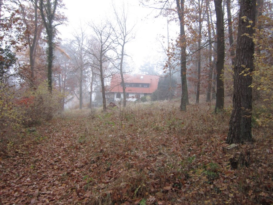 9000 m² Waldgrundstück, Blick auf das Haus im Herbst, © Bernhard Barth 9000 m² Waldgrundstück, Blick auf das Haus im Herbst, © Bernhard Barth