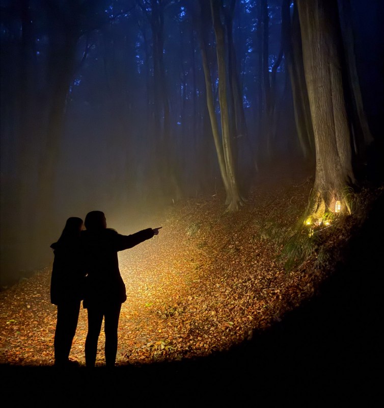 © Nationalaprk-Zentrum KÖNIGSSTUHL © Nationalaprk-Zentrum KÖNIGSSTUHL