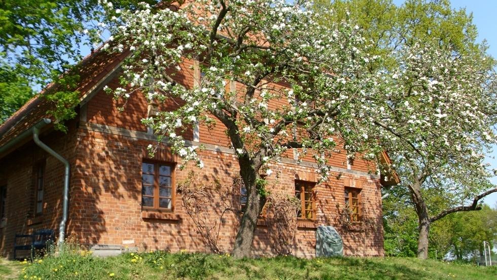 &copy; Archiv, Biosph&auml;renreservatsamt Schaalsee-Elbe