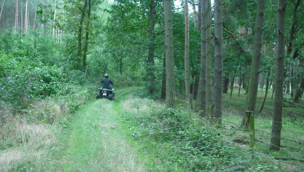Quadtour durch den Wald, © TMV/Quad - Bike & Fun