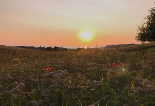 © Nico Offermann © Nico Offermann