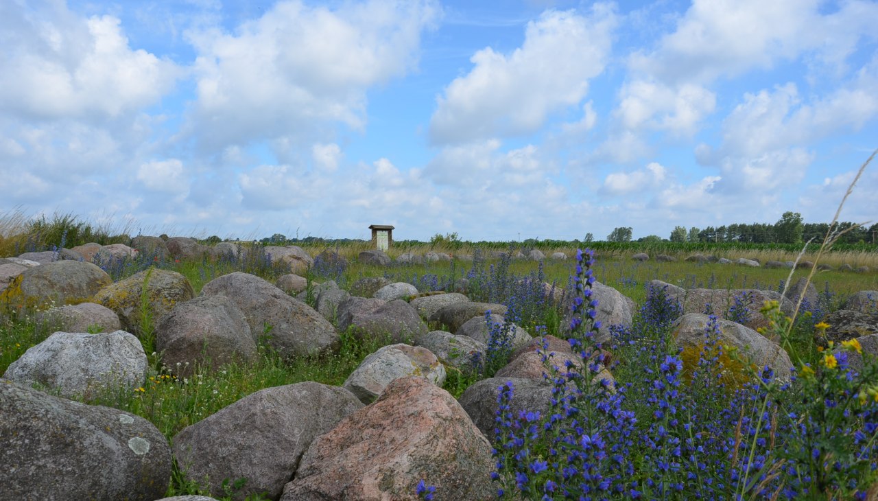 Findlingsgarten/ Mammut bei Carwitz, &copy; Kurverwaltung Feldberger Seenlandschaft