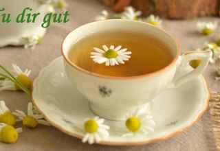 © vortrag_tudirgut.jpg