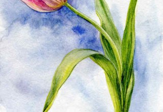 &copy; Jenny Thalheim