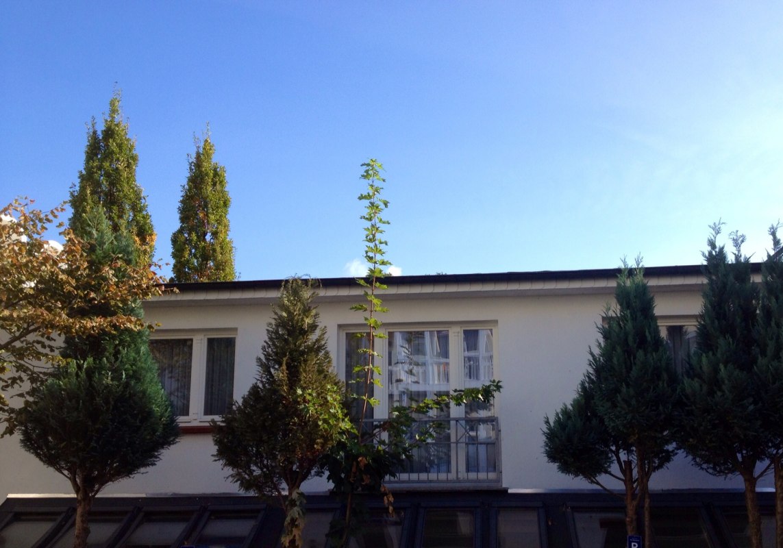 Bekijk pension Astrids Strandmuschel // &copy; Bernhard Franke