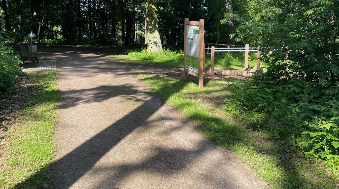 Heilwald Waren quer, © Waren (Müritz) Kur- und Tourismus GmbH Heilwald Waren quer, © Waren (Müritz) Kur- und Tourismus GmbH