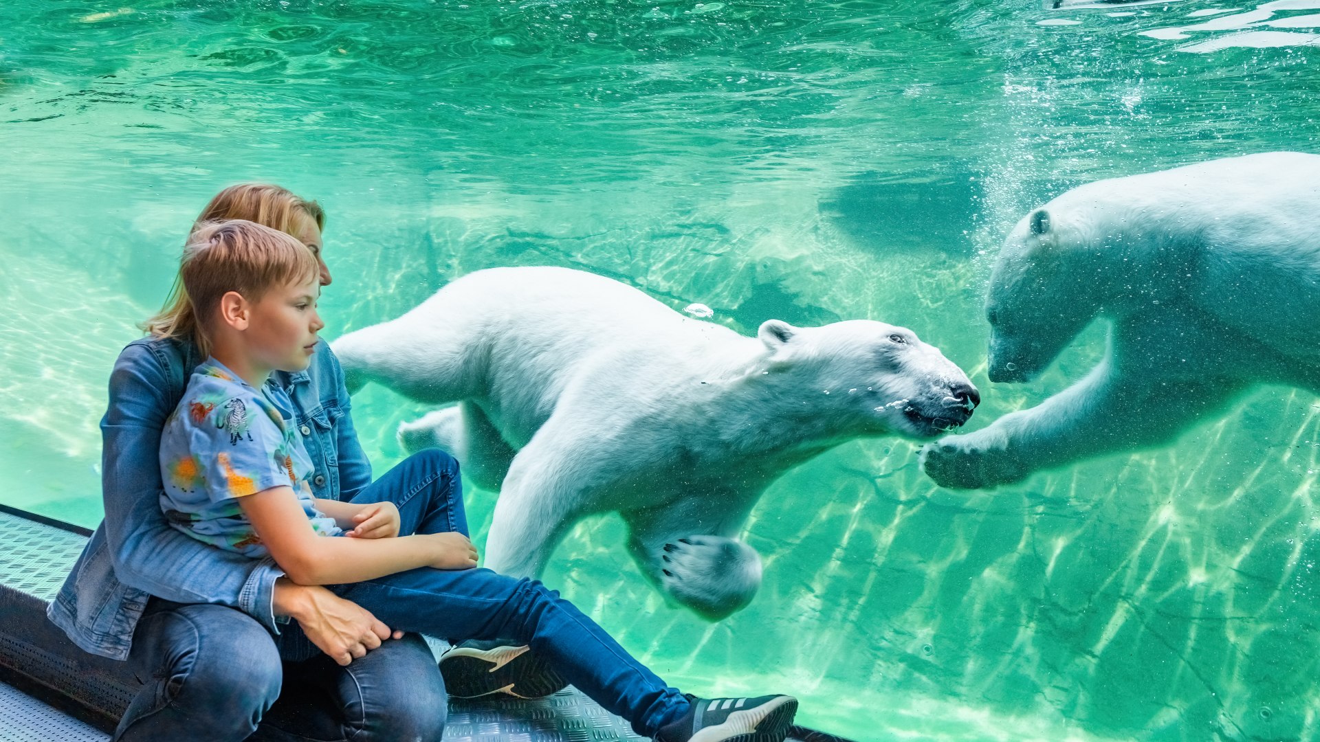 Eine Mutter sitzt mit Ihrem Kind an einer Glasscheibe. Sie zeigt den Pool in dem die Eisb&auml;ren im Rostocker Zoo schwimmen.