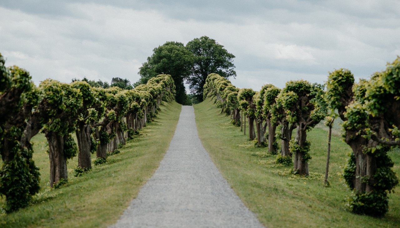 Feston-Allee vor dem Schloss Bothmer, © Fotowerker - Ganzer&Berg
