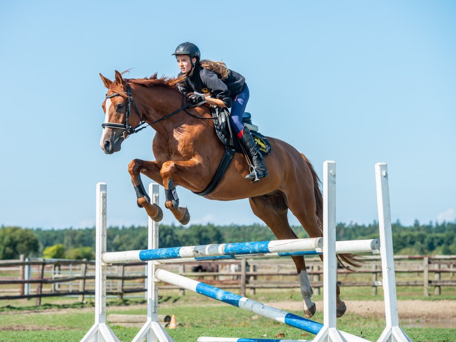 bernsteinreiterverkauf2018_boriskownatzki_061, © bernsteinreiter