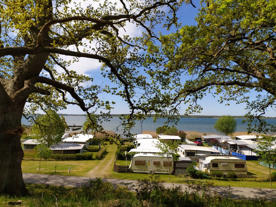 Inselcamping Werder, &copy; TMV/T.Sievert