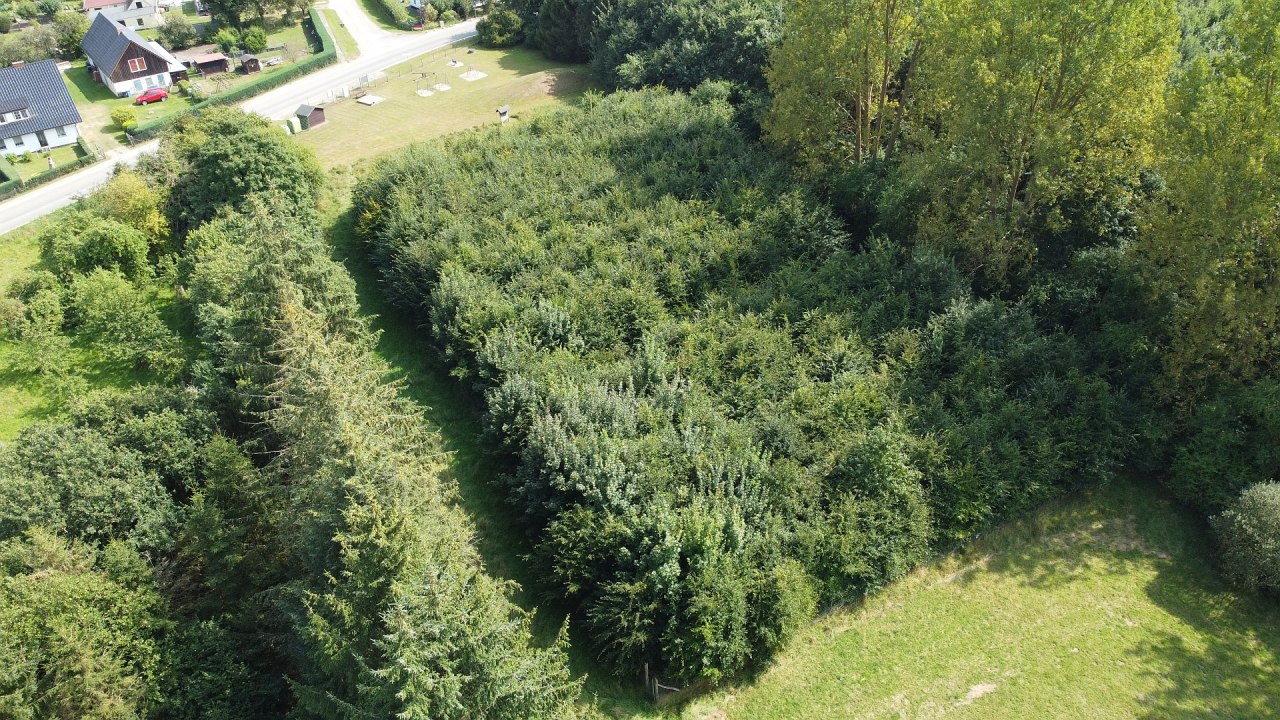 © Landesforst MV © Landesforst MV