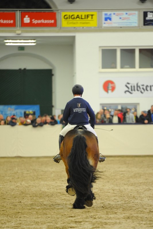 Hengstpr&auml;sentation, &copy; A. Strohbehn