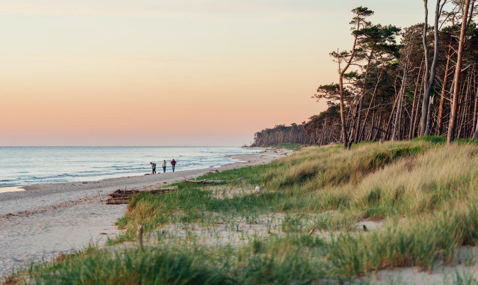 Ein idyllischer Spaziergang am Weststrand auf dem Dar&szlig;: Drei Personen genie&szlig;en den Sonnenuntergang, w&auml;hrend die K&uuml;ste in warmen Farben erstrahlt und die Natur zur Ruhe kommt.
