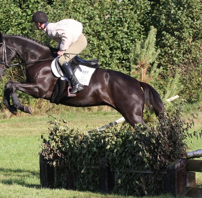 Erlkönig im Gelände // © Trakehnerhof Valluhn Erlkönig im Gelände // © Trakehnerhof Valluhn