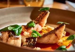 © MV-T/Pocha.de © MV-T/Pocha.de