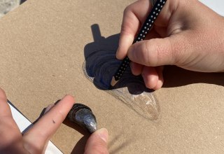 Wir erforschen malerisch die naturbelassene Insel Poel. // &copy; Stephanie Freiling