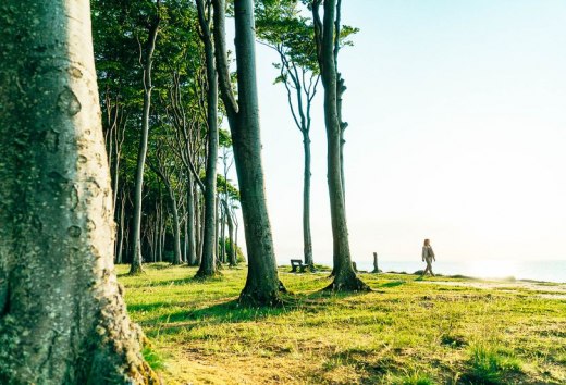 Gesund werden im Gesundheitsland // © MV-T/H2F Gesund werden im Gesundheitsland // © MV-T/H2F