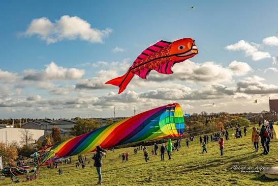 Drachenfest Greifswald // © Hive Blog Drachenfest Greifswald // © Hive Blog