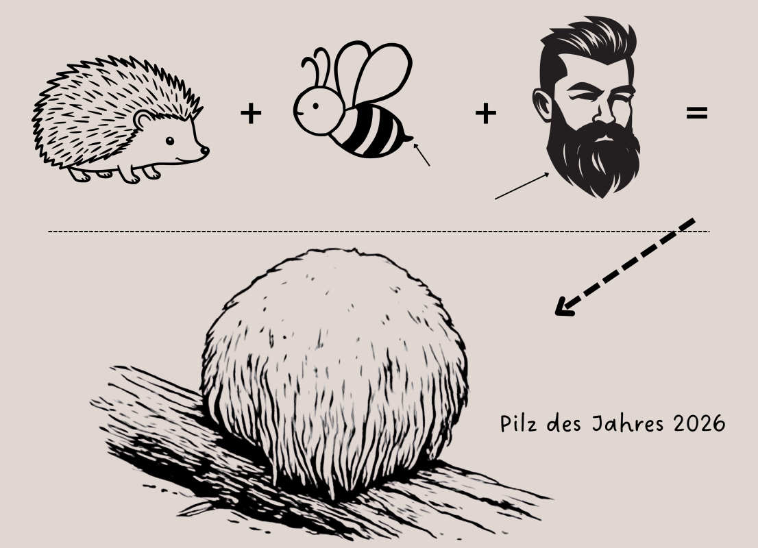 © Müritzeum © Müritzeum