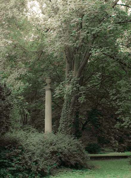 Blick in den Lindenpark // © Geschichtswerkstatt Rostock e.V., Andreas Günther Blick in den Lindenpark // © Geschichtswerkstatt Rostock e.V., Andreas Günther