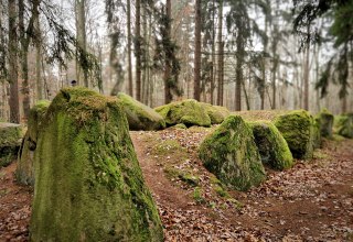 &copy; Kristine Lenschow