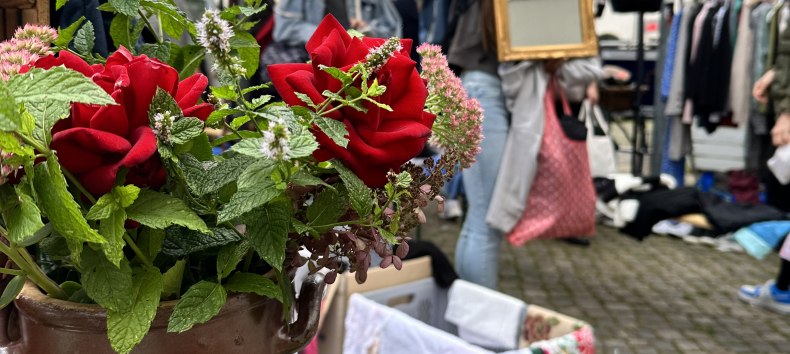 &copy; &copy; Die Stadtmagneten e. V.