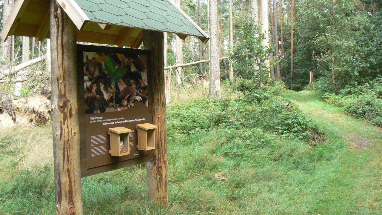 Infotafel des Walderlebnispfades // © Nationalparkamt Müritz Infotafel des Walderlebnispfades // © Nationalparkamt Müritz